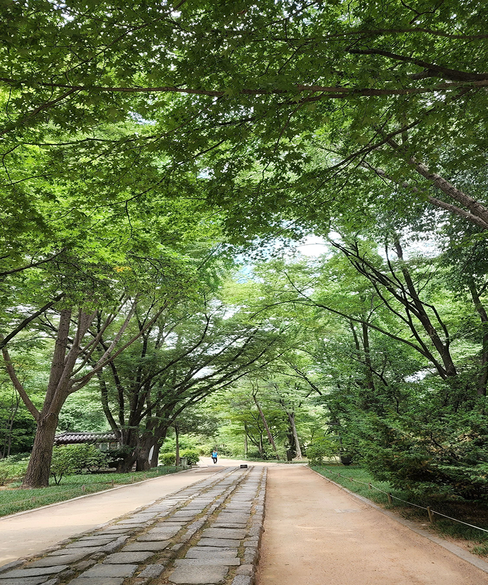 서호공원 바로 앞 숲세권
